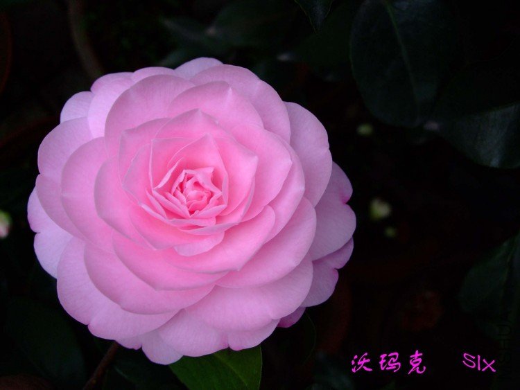 ����� 10-3-17 (4).jpg