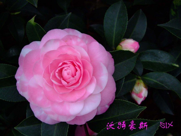 ���غ�˹10-3-17f (13).jpg