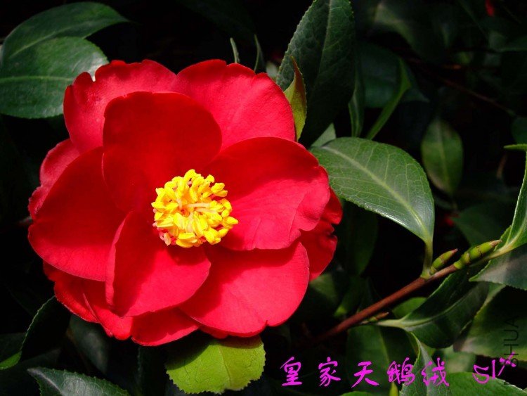 �ʼ������10-3-17 (1).jpg