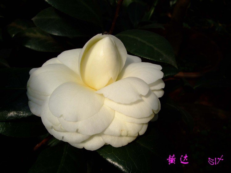 �ƴ� 10-3-17 (1).jpg