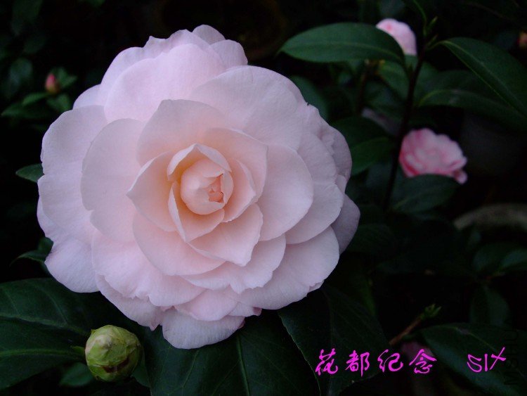 ��������10-3-17 (2).jpg