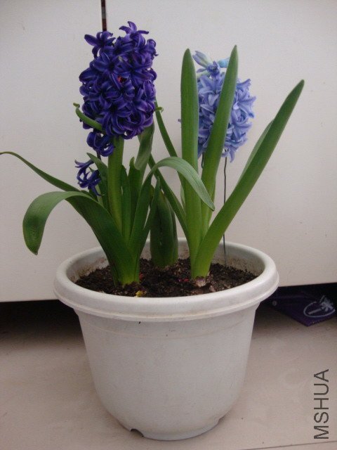 DSC00143.JPG