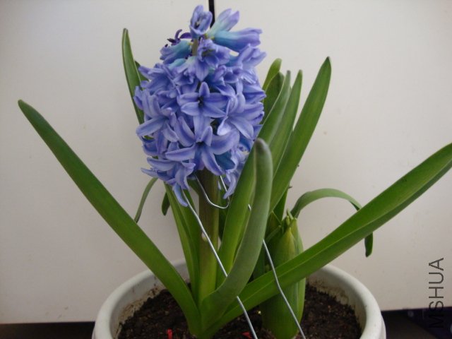 DSC00141.JPG