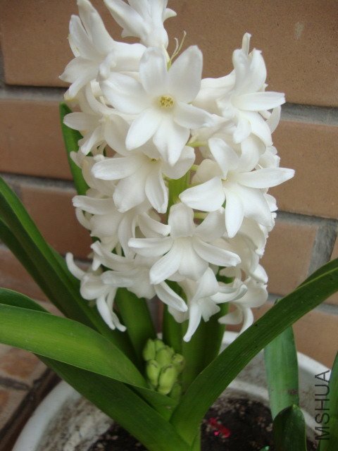 DSC00146.JPG