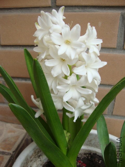 DSC00145.JPG