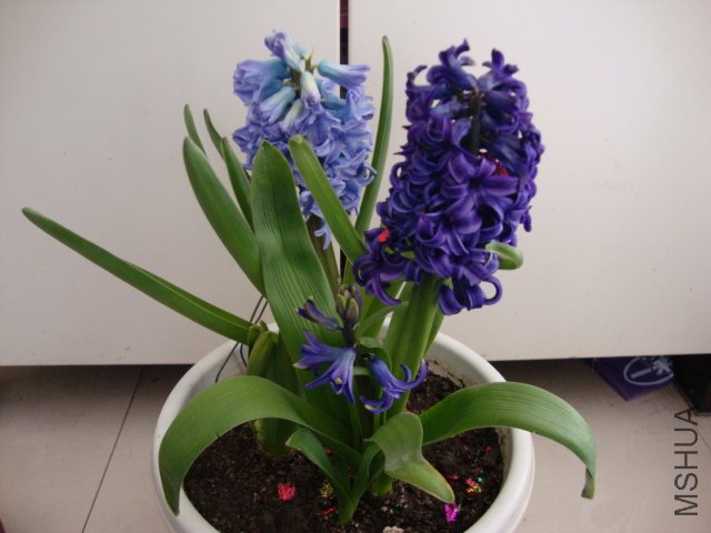 DSC00142.JPG