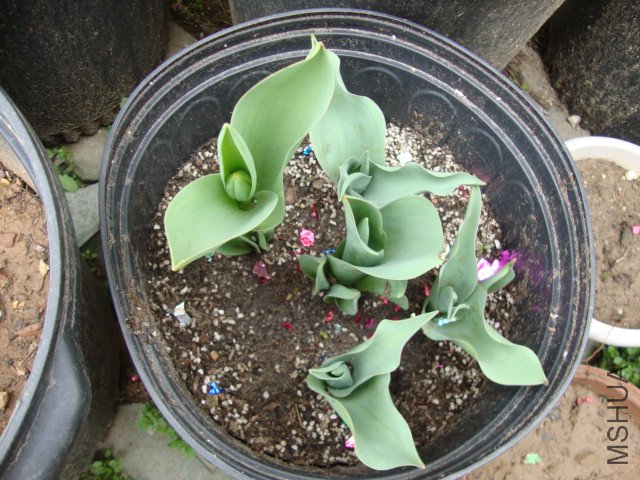 DSC00154.JPG