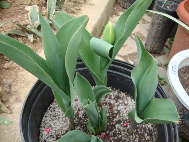 DSC00152.JPG