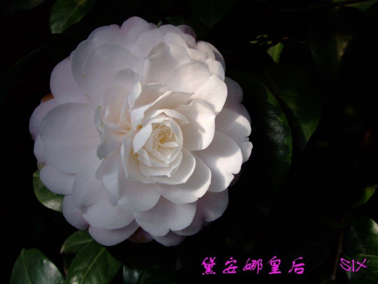 ��ʺ� 10-3-19 (1).jpg