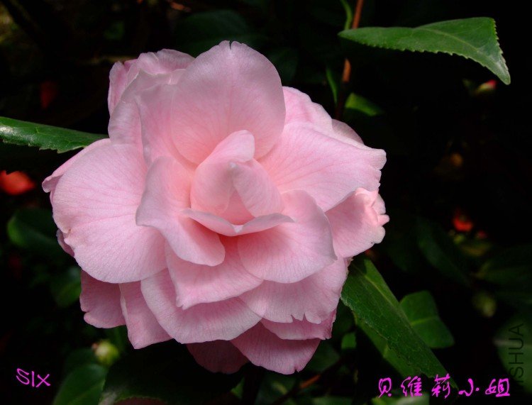 ��ά��С�� 10-3-19 (1).jpg