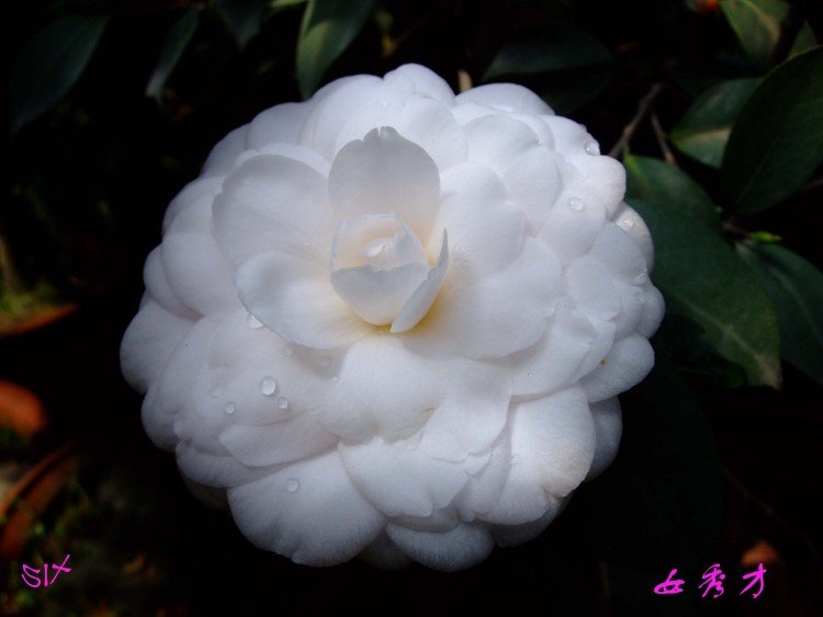 Ů���  10-3-19 (1).jpg