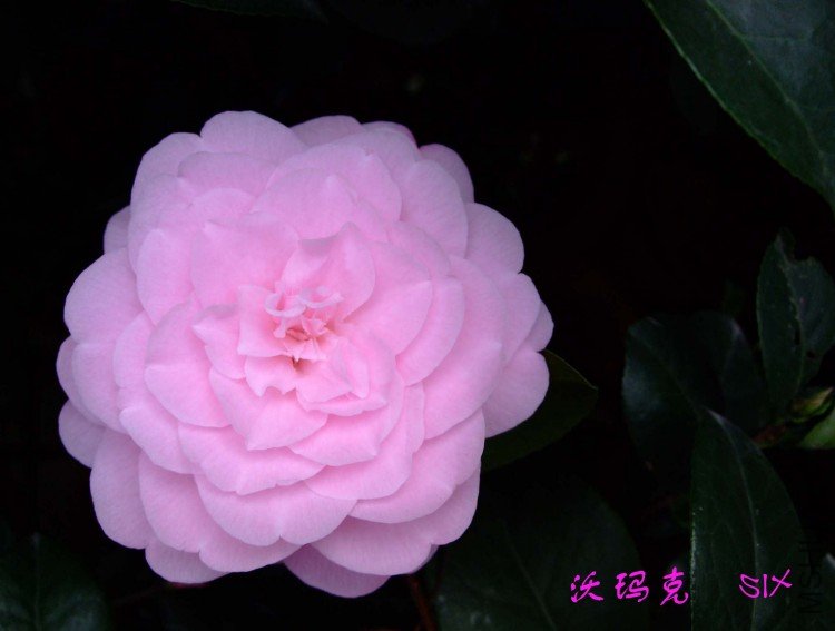 ����� 10-3-19 (1).jpg