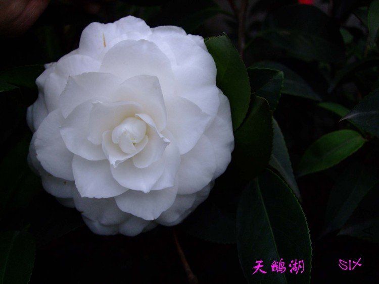 ���� 10-3-19 (1).jpg