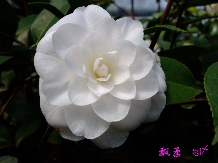 Ʈ�� 10-3-19 (1).jpg