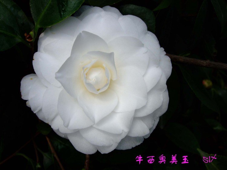 ţ���� 10-3-19 (1).jpg