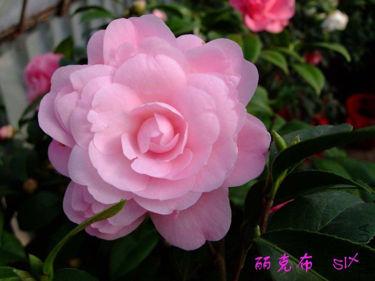 ���˲� 10-3-19 (2).jpg