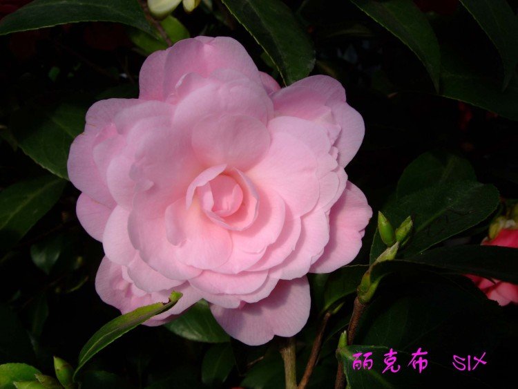 ���˲� 10-3-19 (1).jpg