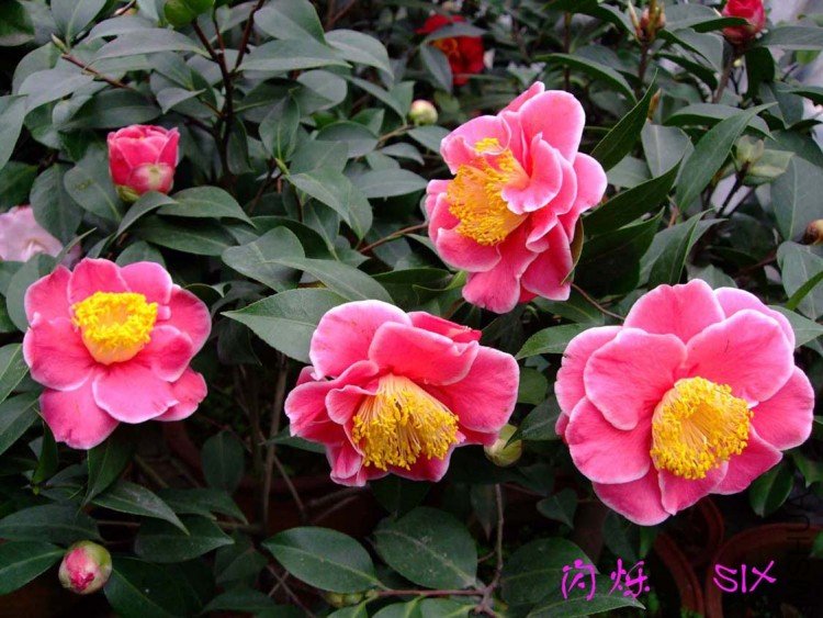 ��˸   10-3-18 (3).jpg