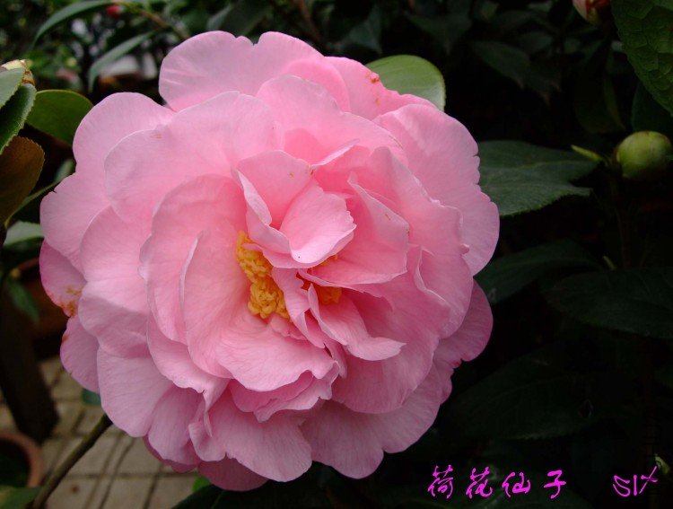 �ɻ�����10-3-18 (2).jpg