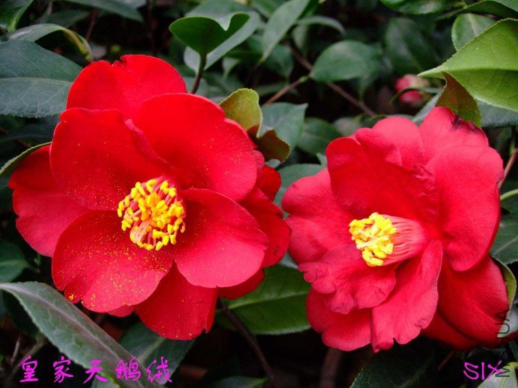 �ʼ������ 10-3-18 (2).jpg