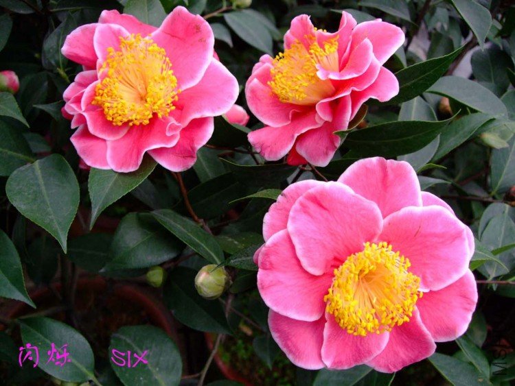 ��˸   10-3-18 (1).jpg