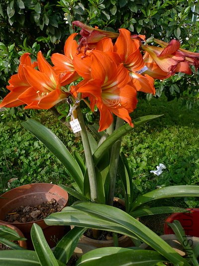 ��Ƭ 5629612(400).jpg