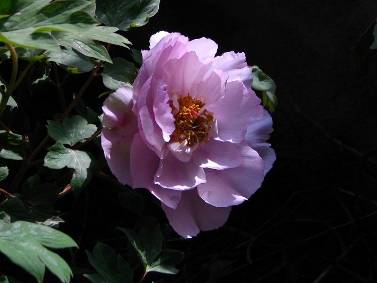 ��������.����.����.ĵ���� 058.jpg