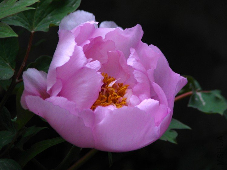 ��������.����.����.ĵ���� 024.jpg