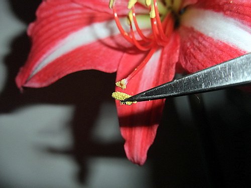 ��Ƭ 2683(500).jpg