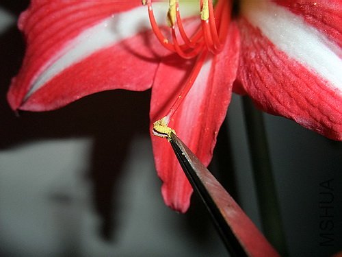 ��Ƭ 2685(500).jpg