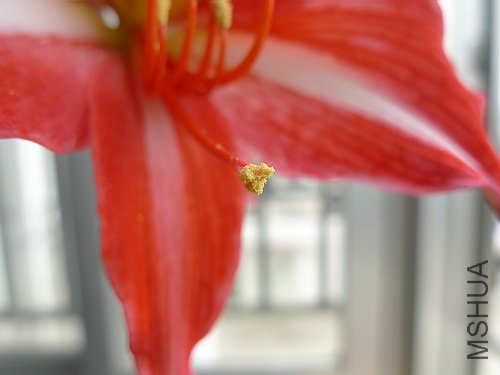 ��Ƭ 2712(500).jpg