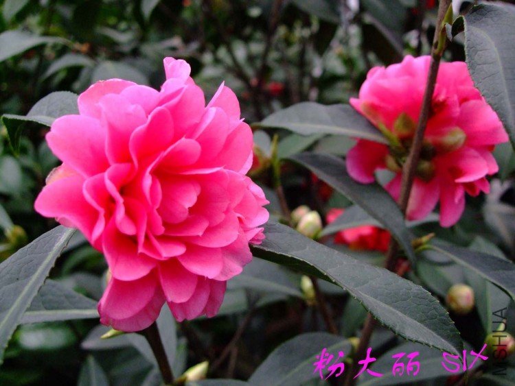 �۴��� 10-3-20 (2).jpg