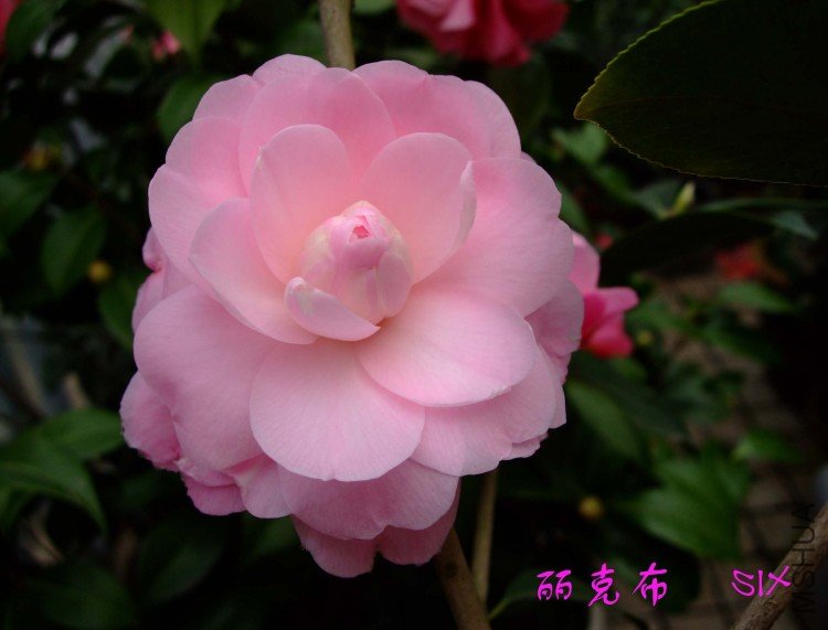 ���˲� 10-3-20 (1).jpg