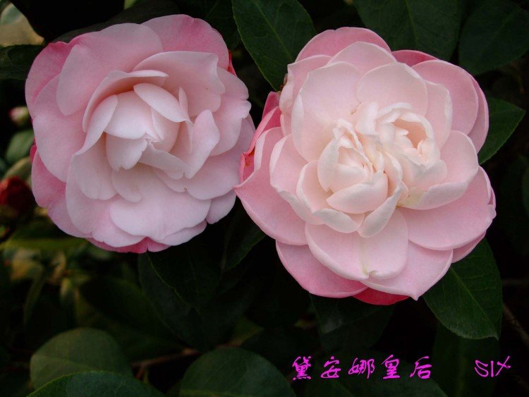 �찲�Ȼʺ�10-3-20 (1).jpg