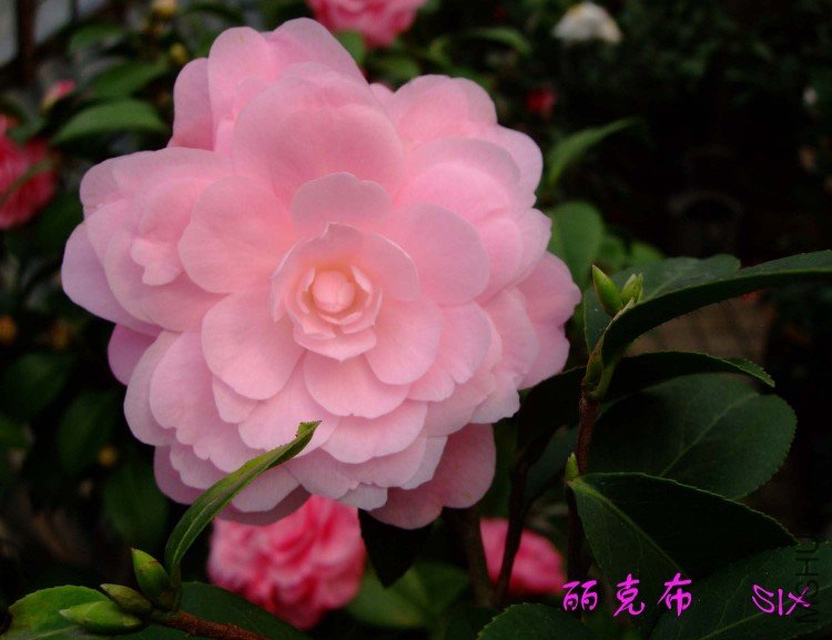 ���˲� 10-3-20 (2).jpg