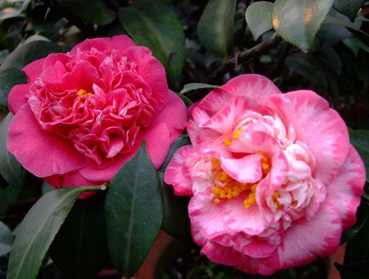 ���ʴ� 10-3-20 (1).jpg