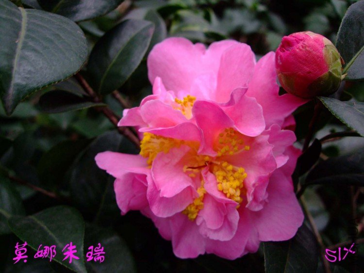 Ī������ 10-3-20(1).jpg