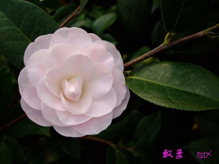 Ʈ�� 10-3-20 (1).jpg