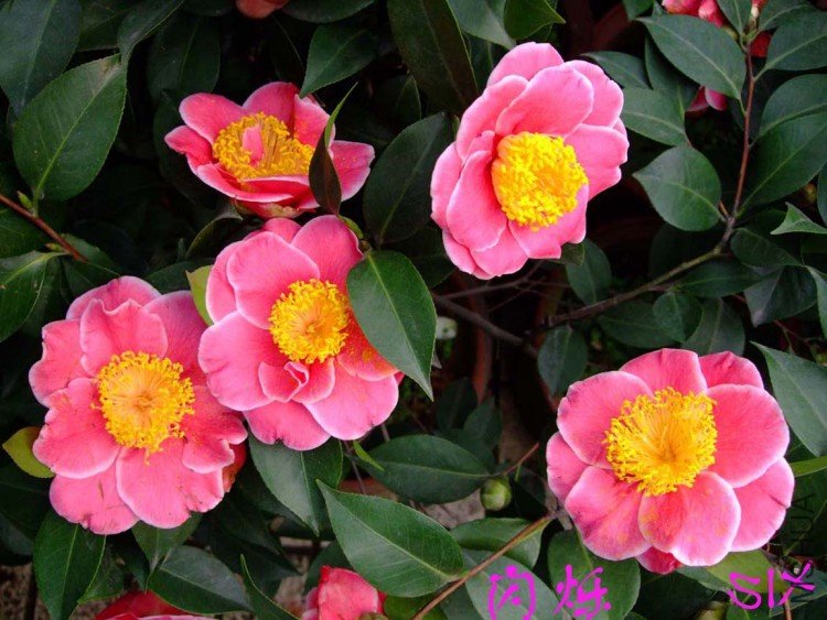 ��˸ 10-3-20 (1).jpg