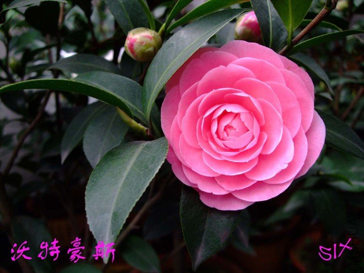 ���غ�˹ 10-3-20 (1).jpg