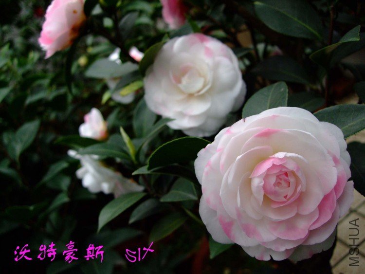 ���غ�˹ 10-3-20 (4).jpg