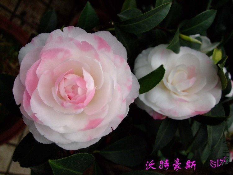 ���غ�˹ 10-3-20 (6).jpg