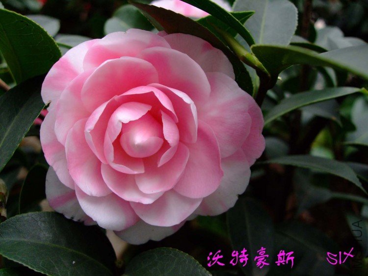 ���غ�˹ 10-3-20 (2).jpg