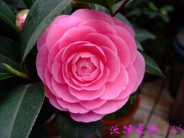 ���غ�˹ 10-3-20 (7).jpg