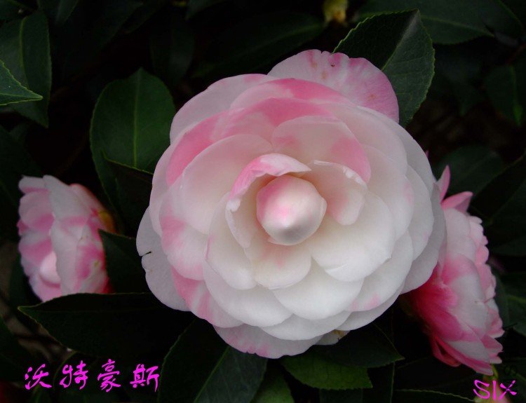 ���غ�˹ 10-3-20 (8).jpg