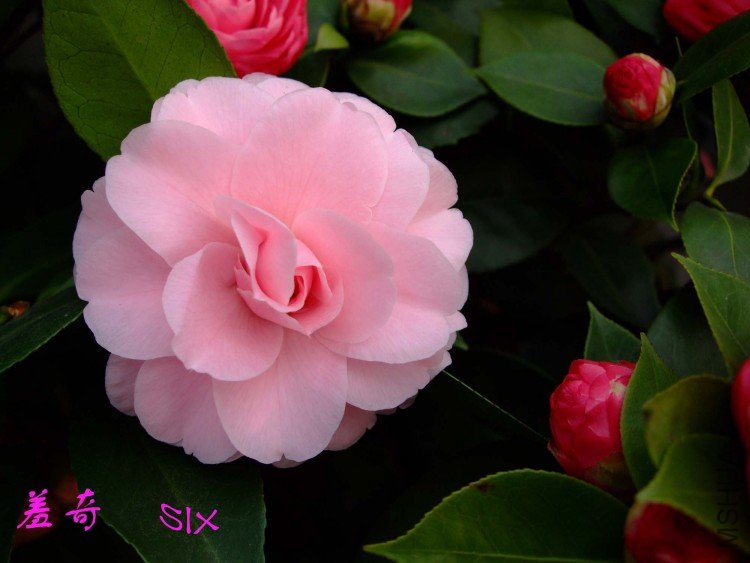 ���� 10-3-20 (1).jpg