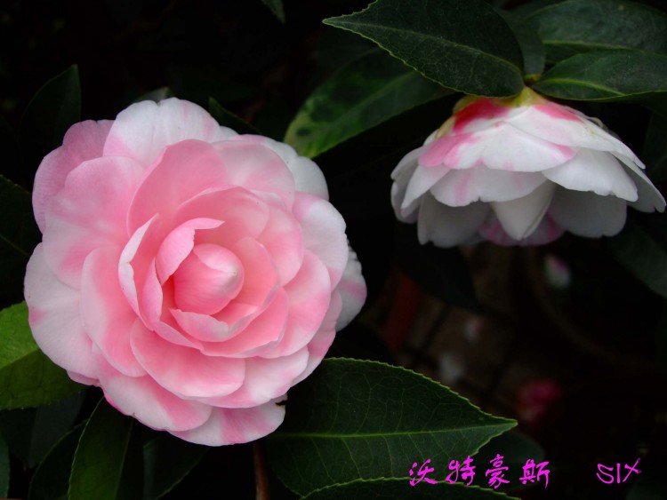 ���غ�˹ 10-3-20 (9).jpg