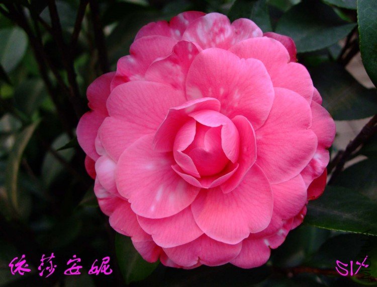 ��ɯ���� 10-3-20 (1).jpg