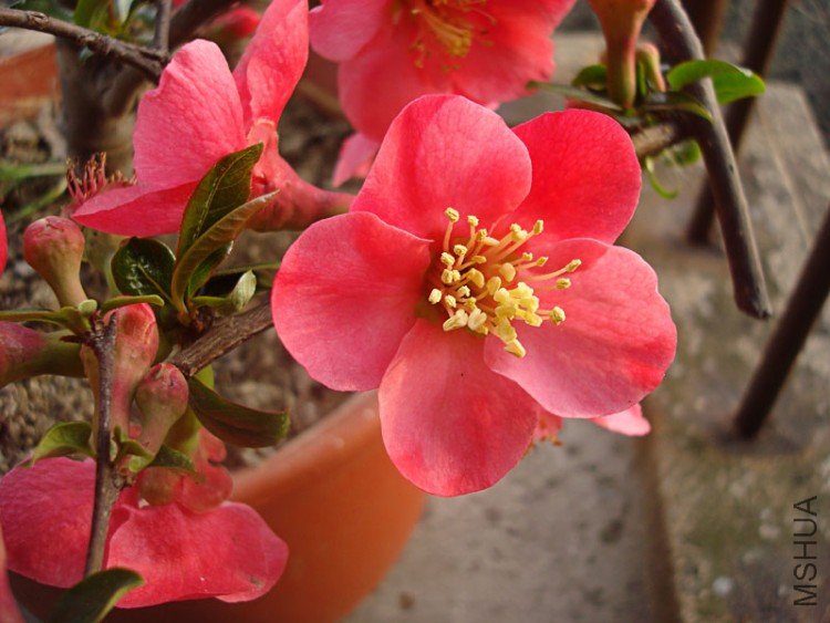 0-DSC03508.jpg
