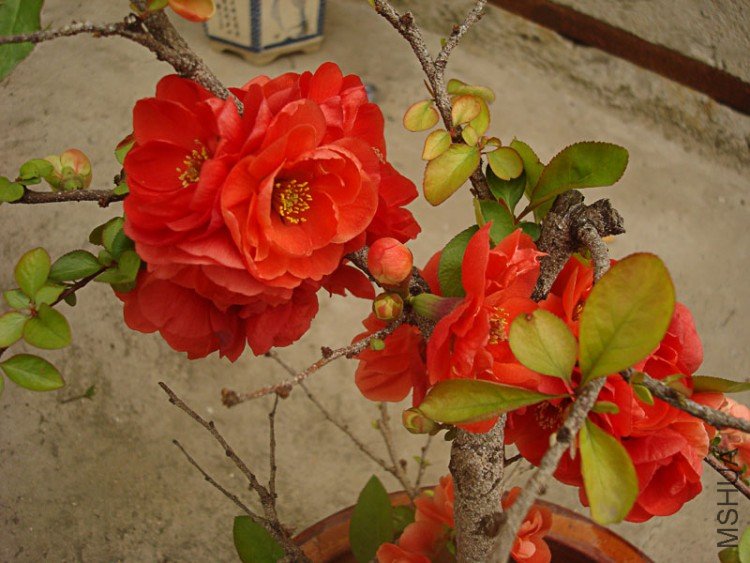 0-DSC03587.jpg